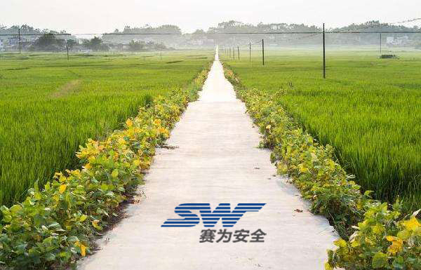 鄉村道路安全行車要注意的九類人