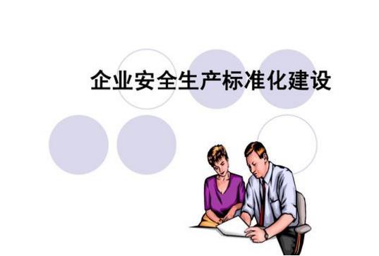 企業安全如何實現標準化